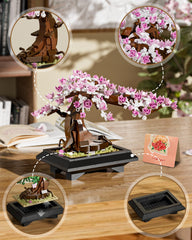 Muiurple four seasons bonsai in spring stage ready for display.