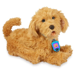 Brushing time close-up reveals soft plush coat and cozy feel