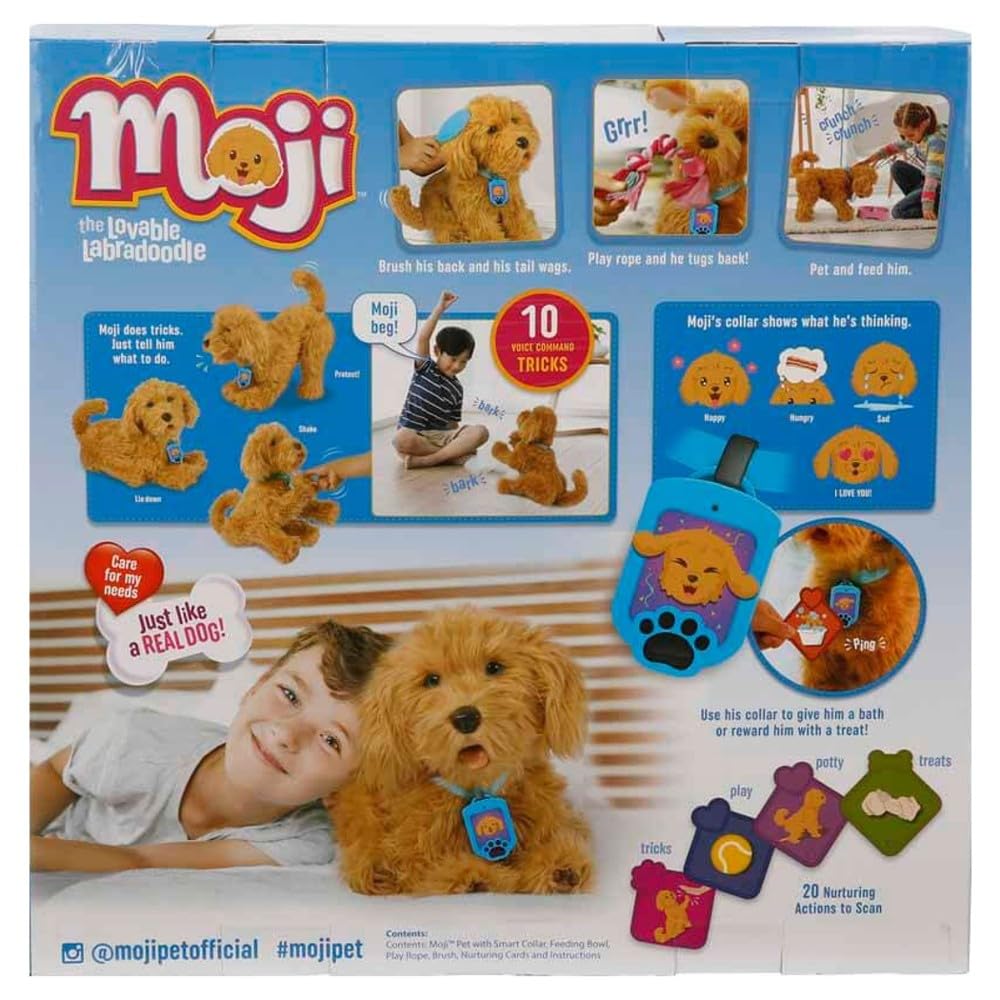 Treat-card play encourages gentle training and positive reinforcement