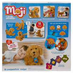 Treat-card play encourages gentle training and positive reinforcement