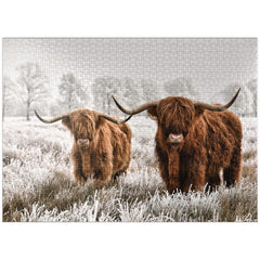 MyPuzzle hairy Scottish Highland cattle winter landscape puzzle image for adults' relaxed time.