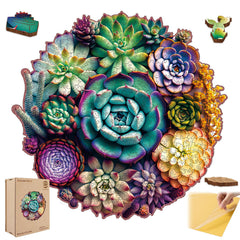 Mys Aurora mandala succulent puzzle with vibrant hand-painted design for decorative display