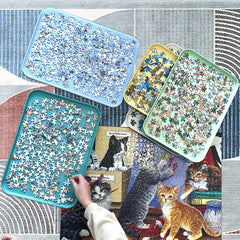 Nariolar large-capacity trays keep up to 1000 pieces neatly arranged