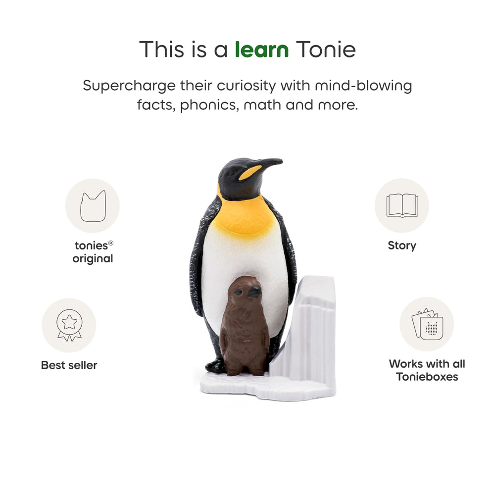 National Geographic Penguin Tonies playback with Toniebox simplifies learning through listening.