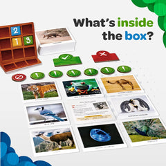 Closeup of Secret Clue Animals clue cards with vibrant photography