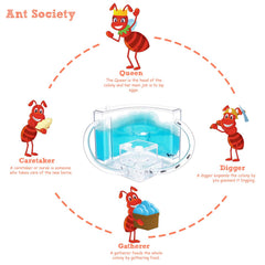 Navadeal educational habitat view showing living ecosystem