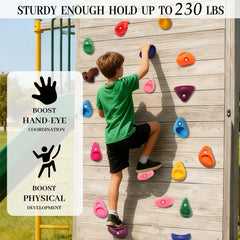 NEATATOU weather resistant rock holds withstand outdoor use while keeping colors vibrant.