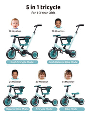 newyoo TR008 adjustable handlebar and seat for growing riders