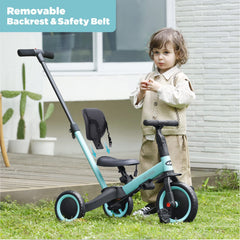 newyoo tricycle backrest and safety belt for secure rides