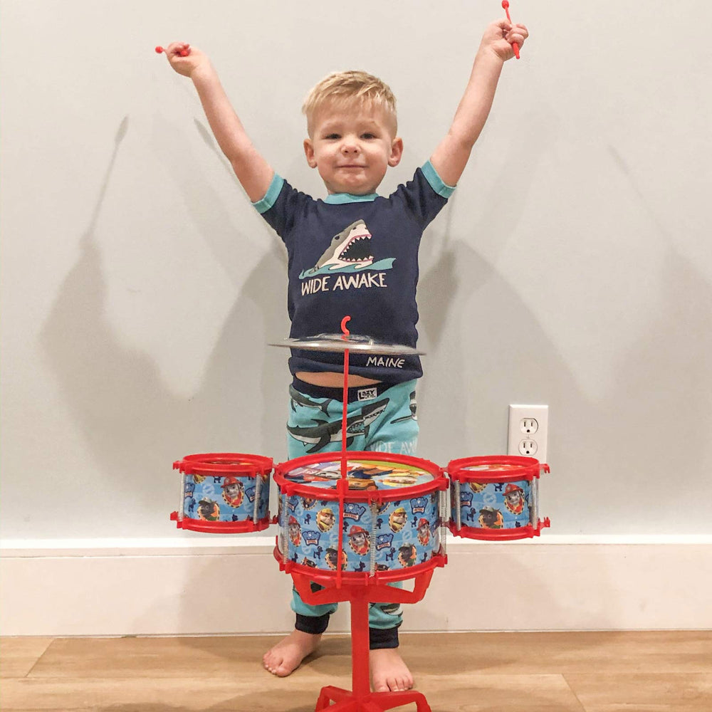 Nickelodeon Paw Patrol stand and drums illustrate stable setup for playtime.