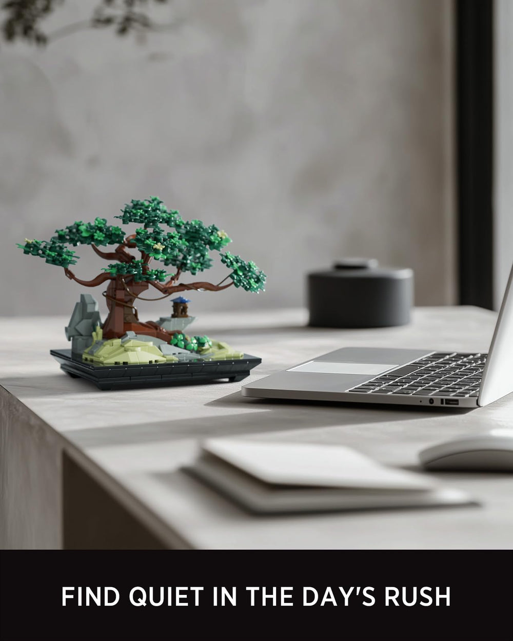 Nifeliz Chan bonsai tree on a desk enhancing serene decor.