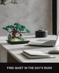 Nifeliz Chan bonsai tree on a desk enhancing serene decor.