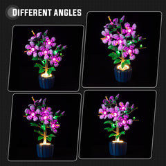Nitemode light kit with installation guide supports seamless setup for Lego Hibiscus 10372.