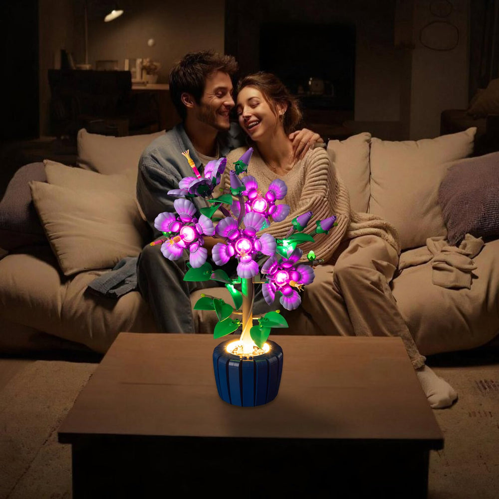 Nitemode light kit on display enhances night-time model appreciation.