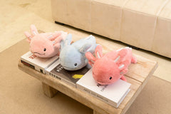 Niuniu Daddy glowing ears highlight the axolotl’s midnight glow for nighttime mood