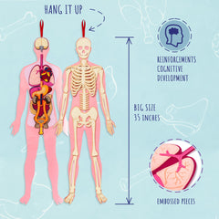 NUHICO This is Me! pairs well with STEM kits and anatomy books