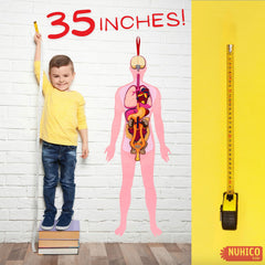 NUHICO This is Me! velcro-backed bones for easy removal and classroom demonstrations