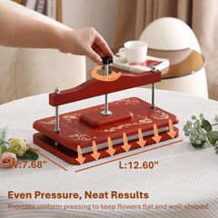 Nuvograin press kit for kids and adults, encouraging hands-on botanical creativity.