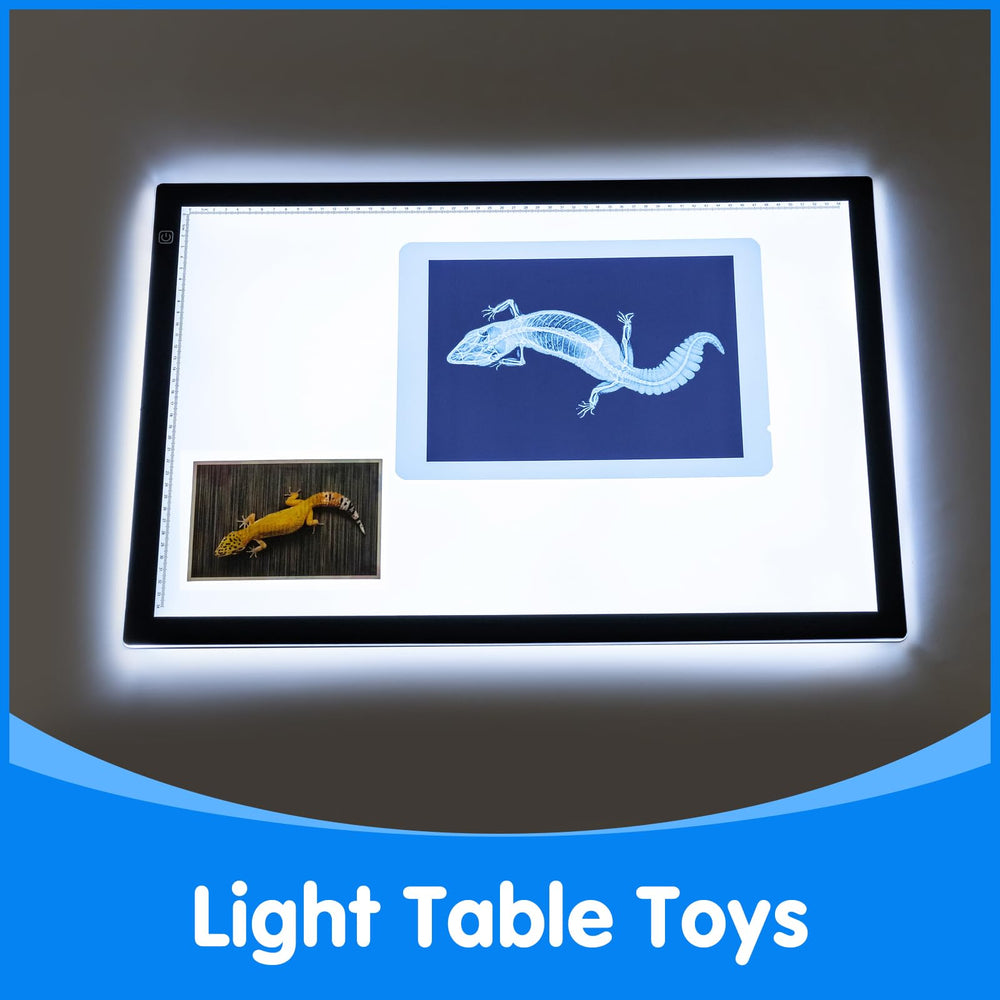 Odoorgames educational kit sparks curiosity about animal anatomy.