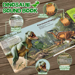 OENUX realistic dinosaur figures - hand-painted PVC toys for safe, durable play.