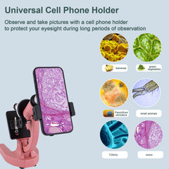 Multi-level magnification from 100x to 2000x for diverse experiments.