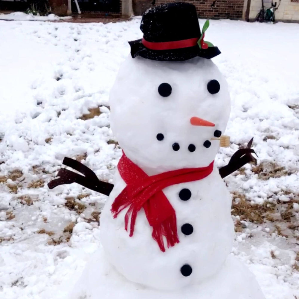 Orgrimmar Snowman carrot nose delivers a classic look with easy assembly.