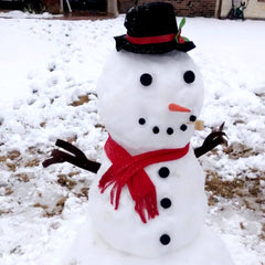 Orgrimmar Snowman carrot nose delivers a classic look with easy assembly.