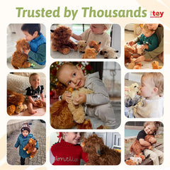 OUOZZZ Highland Cow bundle with four calves, ideal for cooperative pretend play.