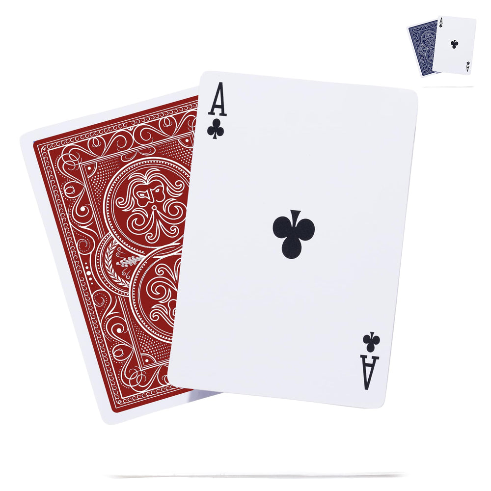 Pantheon Playing Cards wind-resistant deck ready for breezy outdoor play.