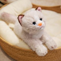 PEACH CAT 9.8-inch plush body, easy to carry and snuggle
