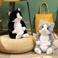 PEACH CAT close-up face plush 14-inch, inviting smile for daily cuddles