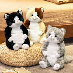 PEACH CAT cuddly hug plush 14-inch, great companion during reading or TV time