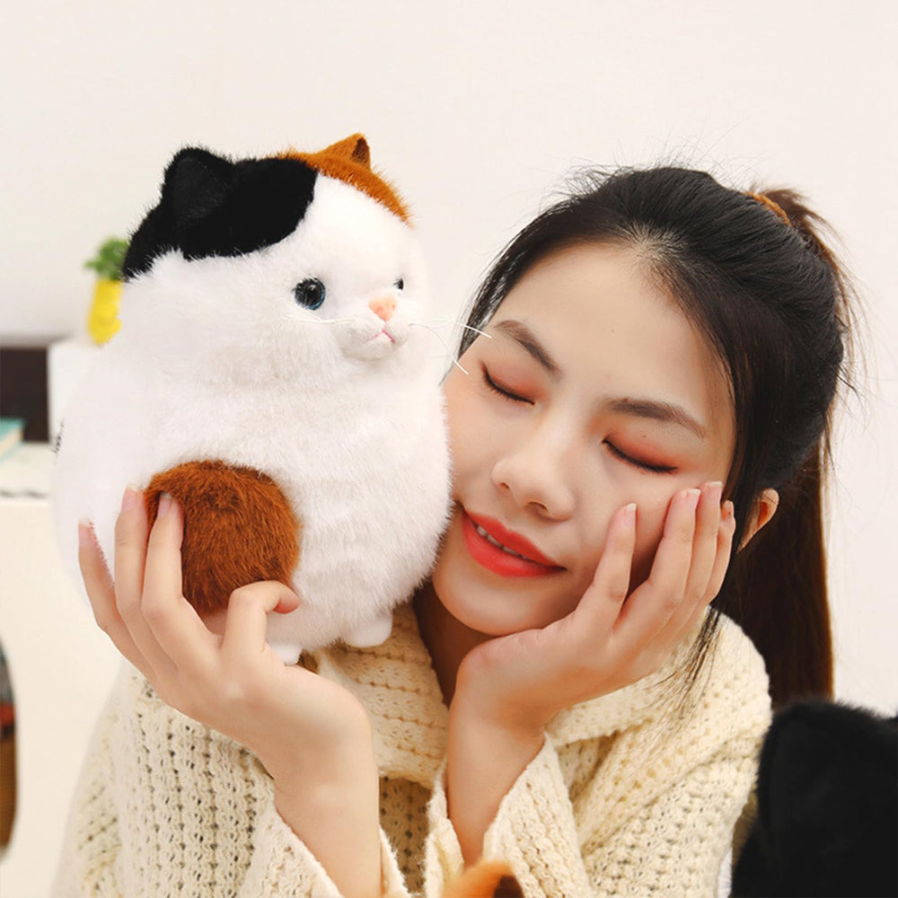 PEACH CAT Fat Calico Cat Plush nap time scene, comfort during reading or TV