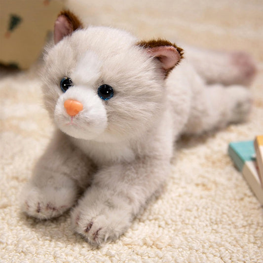 PEACH CAT realistic kitten plush face, cuddly companion for kids
