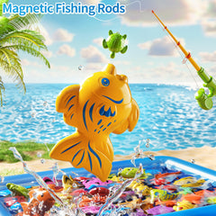 PEADUCK educational toy set teaching shapes and colors through play
