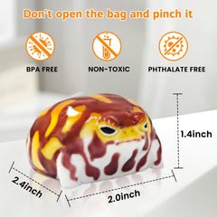 Peledic Taba Squishy Desert Rain Frog packaged in an elegant gift box