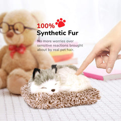 Perfect Petzzz Minis Alaskan Husky toy provides durable, lasting interaction