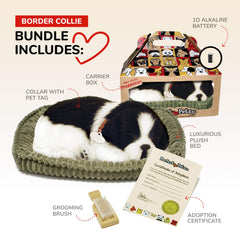 Perfect Petzzz Border Collie bedtime-snuggle showcasing soft fur