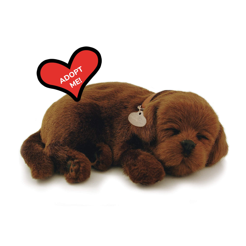 Perfect Petzzz Chocolate Lab breathing close up for lifelike companionship