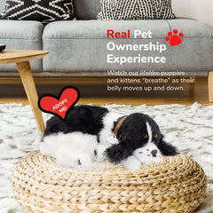 Relaxing companionship from Perfect Petzzz Original Cocker Spaniel for all ages.
