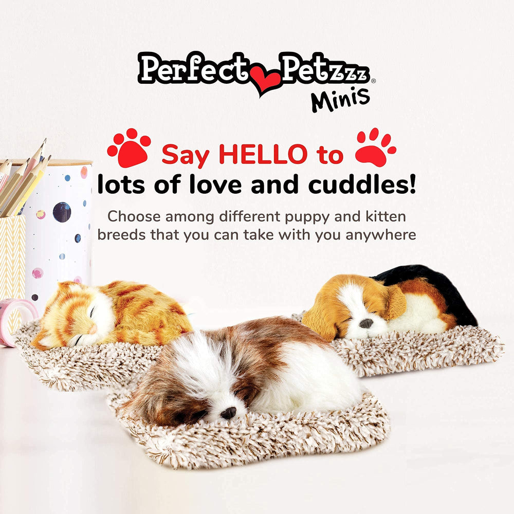 Perfect Petzzz long-lasting interaction delivering steady companionship through daily routines.