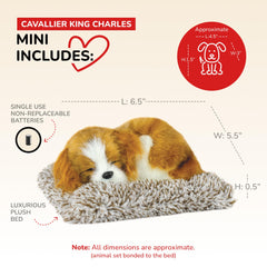 Perfect Petzzz mini Cavalier King Charles toy dog offers gentle companionship without real-pet responsibilities.