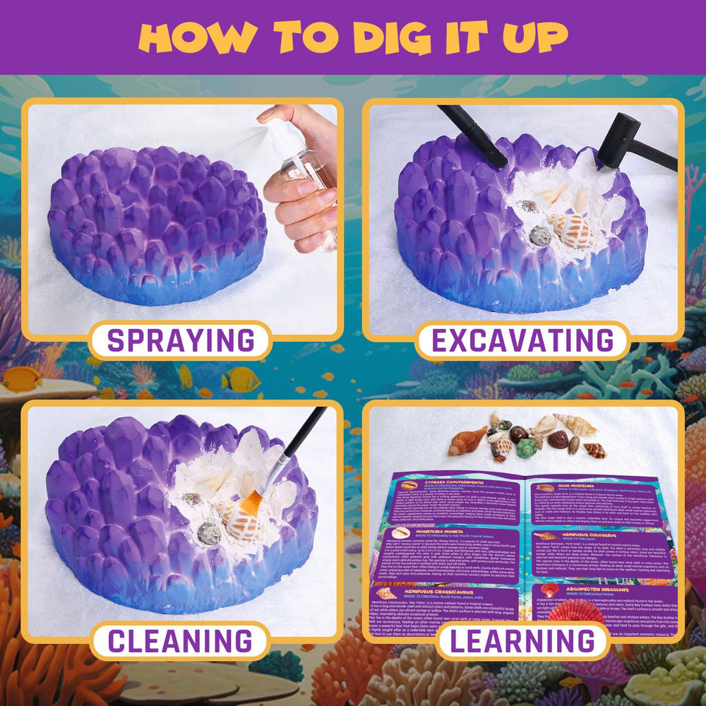 PIBEX Ocean Fossil Dig Kit gift-ready packaging makes a thoughtful present.