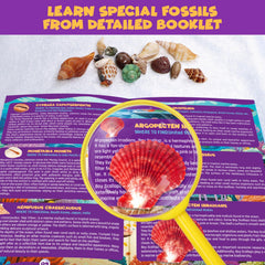 PIBEX Ocean Fossil Dig Kit gypsum dig tools provide kid-friendly handling.