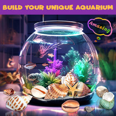 PIBEX Ocean Fossil Dig Kit learning guide supports marine science lessons.