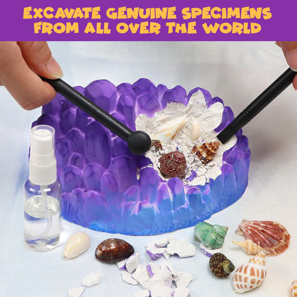 PIBEX Ocean Fossil Dig Kit spray bottle facilitates easy cleaning during digging.