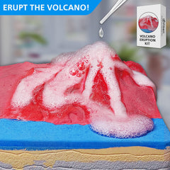 PIBEX Real fossils geode set for immersive geology and paleontology discovery