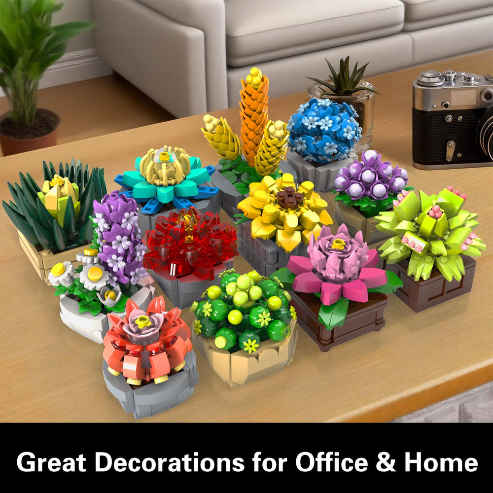 PIKARO twelve-pack succulent decor for living rooms