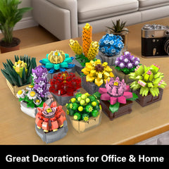 PIKARO twelve-pack succulent decor for living rooms