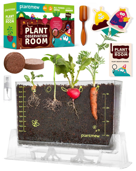PLANTMEW Root Viewer Kit display with six seed varieties for hands-on science learning